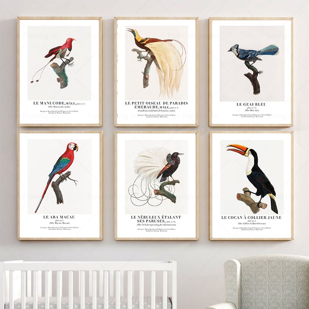 Vintage Paradise Bird Wall Art - Furniture Paradise & Hardware Ghaziabad Reviews 评论和价格