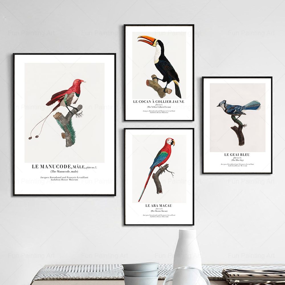 Vintage Paradise Bird Wall Art - Furniture Paradise & Hardware Ghaziabad Reviews 评论和价格